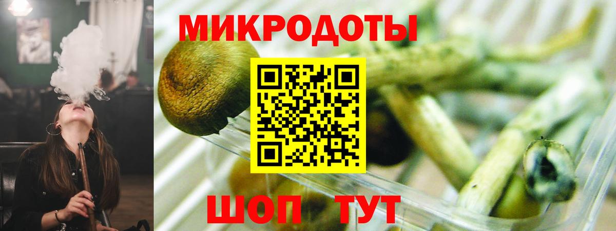 Избербаш  Псилоцибиновые грибы Cubensis  Вход с VPN 
