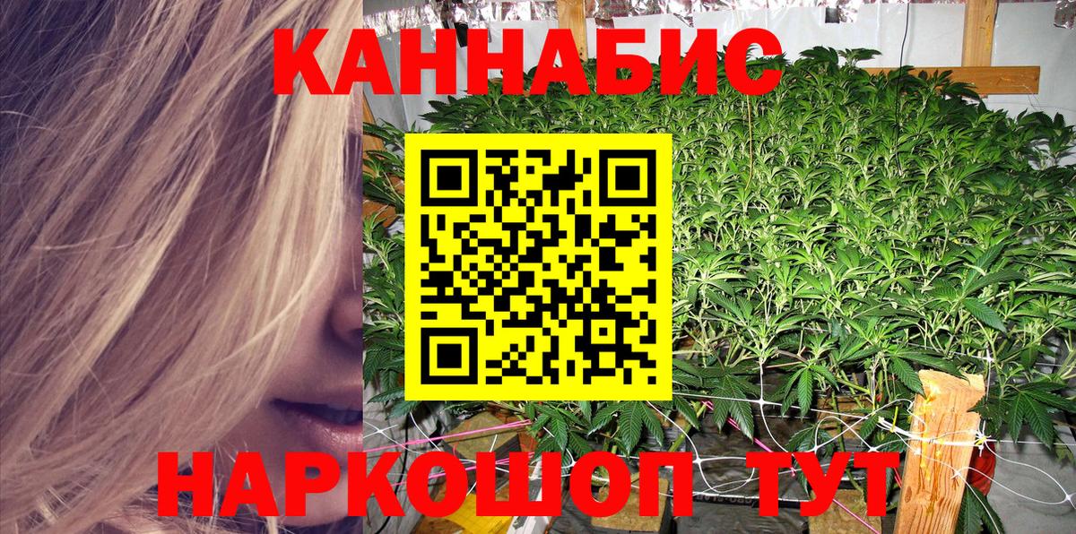 Каннабис планчик Избербаш